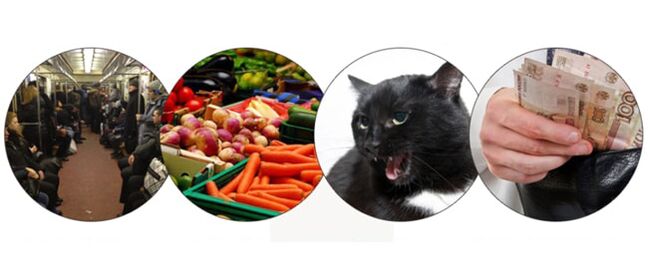 metode inféksi ku parasit