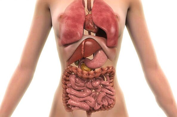 parasit dina awak manusa