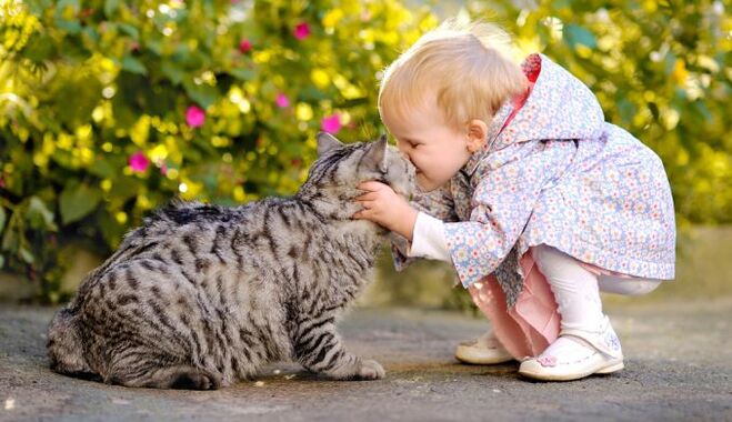 anak nyium ucing jeung jadi kainfeksi cacing